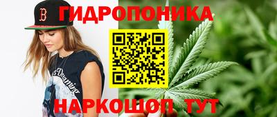 сатива Коммунар