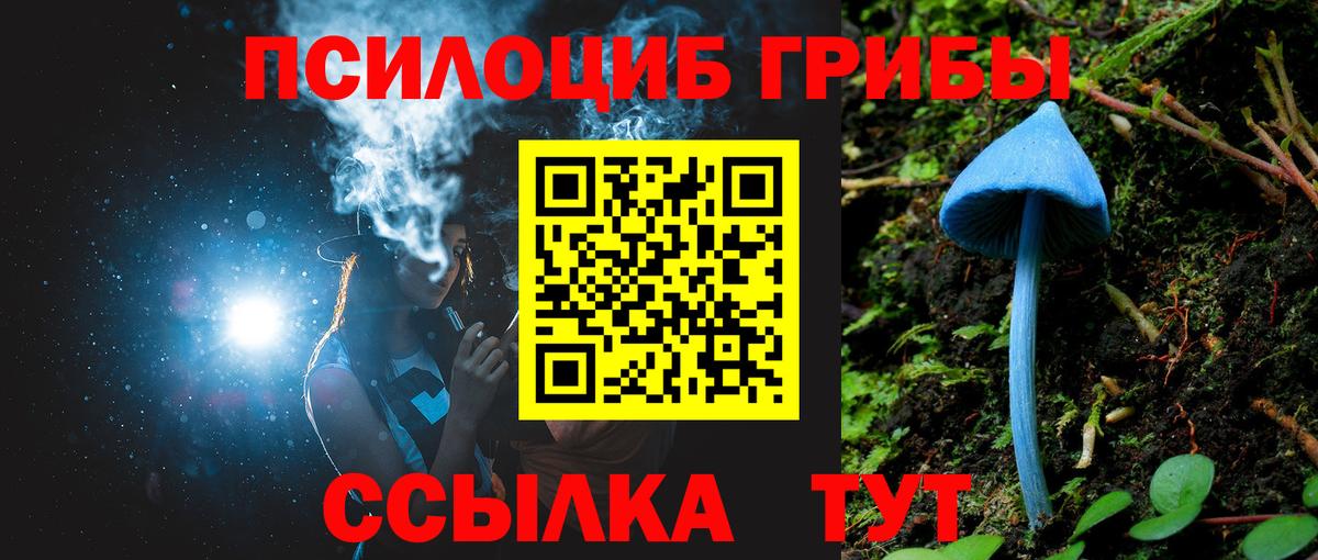 Галлюциногенные грибы GOLDEN TEACHER  Вход с VPN  Псилоцибиновые грибы Psilocybe  Искитим 